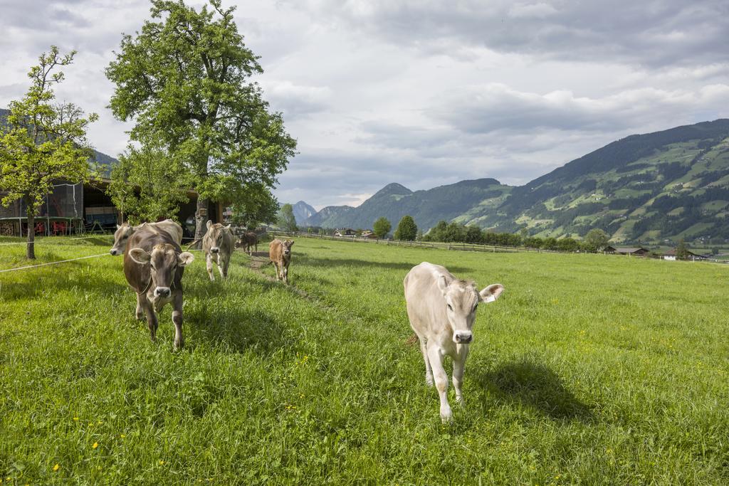 Villa Riemenerhof Fügen Esterno foto
